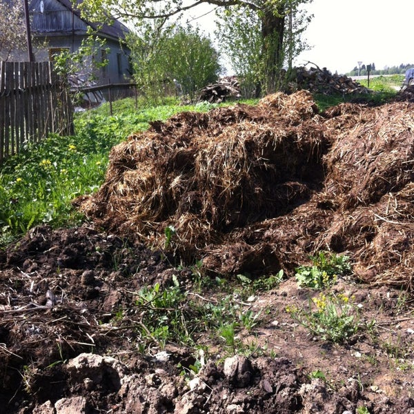 Подслушано рабитицы