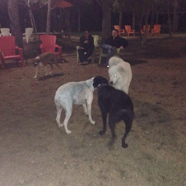 Photo taken at Dog House Drinkery Dog Park by Ashley👙 on 11/10/2013