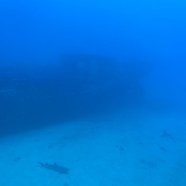 Photo taken at Atlantis Submarines Maui by Dan D. on 11/9/2022