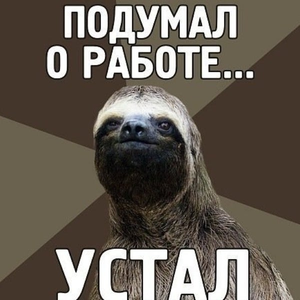 Человек без сил. Я устала. Приколы про усталость. Я настолько устала. Прикольные надписи с ленивцами.