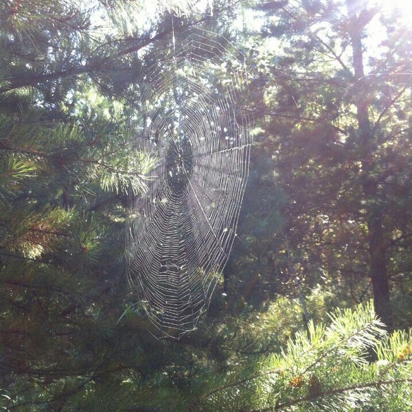 Нижнеисетский лесопарк екатеринбург карта