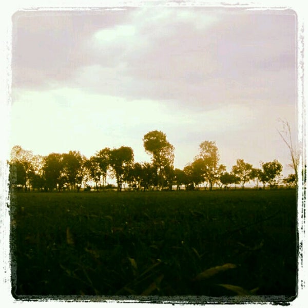 lapangan golf Adi Sumarmo - Field