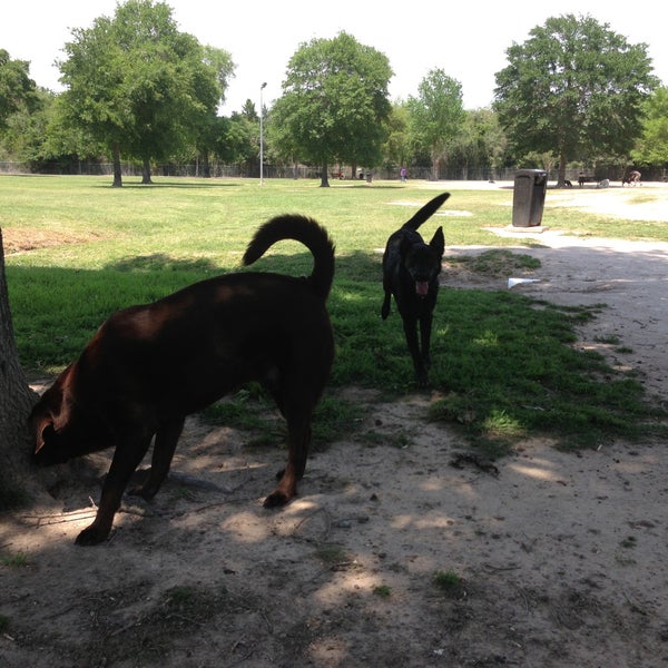 Katy Dog Park Katy, TX