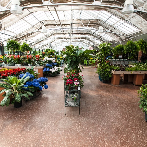 Photos At Pesche S Flowers Des Plaines Il Photo Taken At Pesche S Flowers By On 5 2018