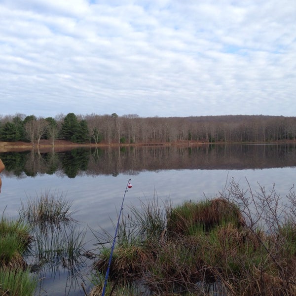 Photos at The Lily Pond, Milford Pa Hiking Trail in Milford