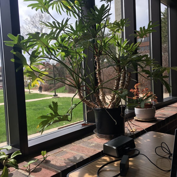 Magrath Library College Library in Falcon Heights