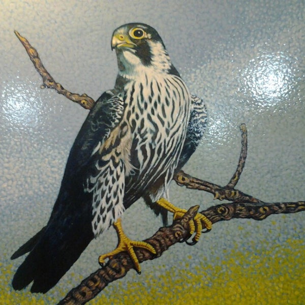 Photos At Il Falco Pellegrino Italian Restaurant In Noci