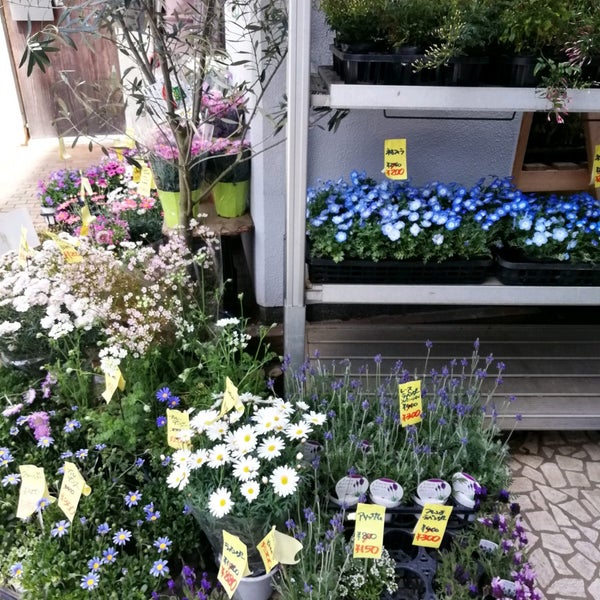 Photos At Flower Market 花市場 青山店 青山 東京 東京都