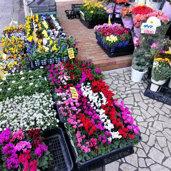 Photos A Flower Market 花市場 青山店 青山 Tokyo 東京都