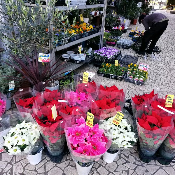 Photos A Flower Market 花市場 青山店 青山 Tokyo 東京都