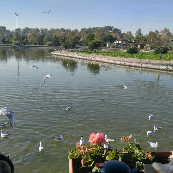 11/8/2020 tarihinde DERYA .ziyaretçi tarafından Coşkun Izgara Parkada'de çekilen fotoğraf