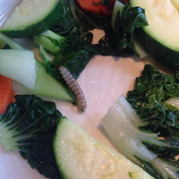 Pretty sure this worm was not supposed to be part of my steamed veggies dish!