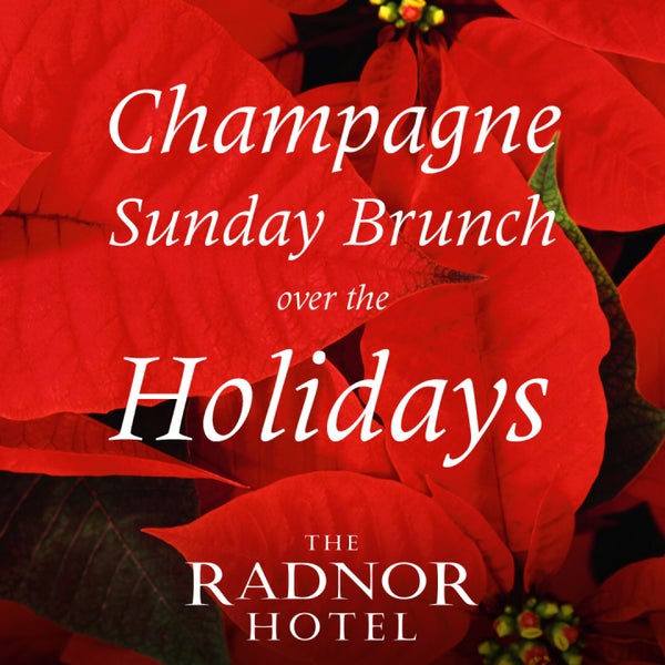 Make memories with friends & family while savoring full plates of your favorite holiday dishes at The Radnor's “Best of the Main Line” Brunch buffet in a warm & festive setting... 610-341-3188