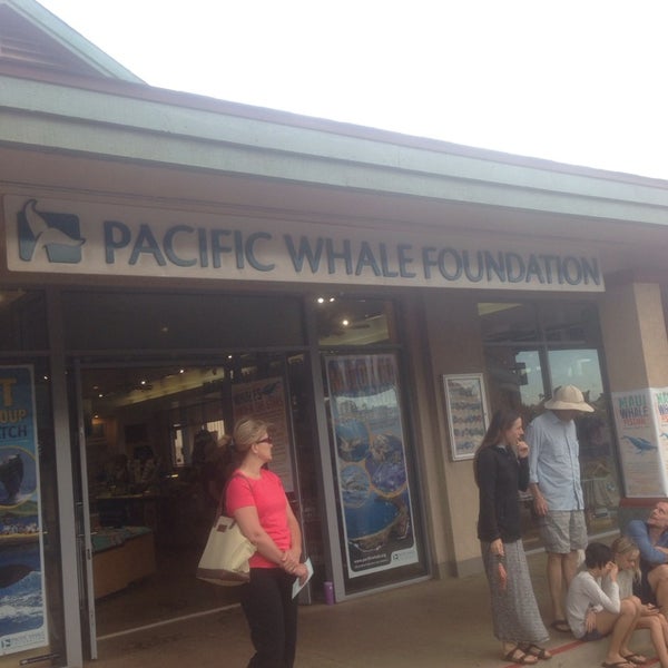Снимок сделан в Pacific Whale Foundation пользователем Matt W. 2/15/2014