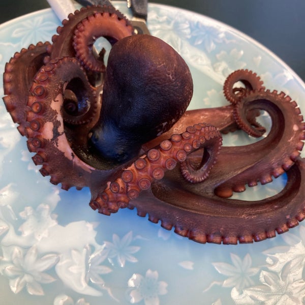 Photos At 御やど 乙姫 日間賀島西浜12