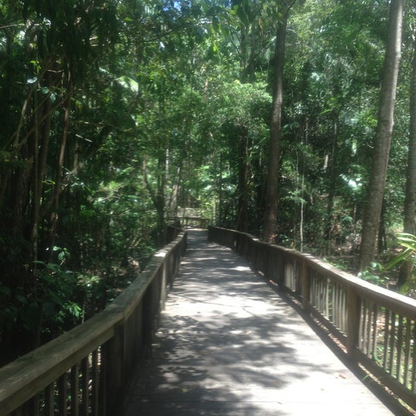 Photos At Buderim Forest Park
