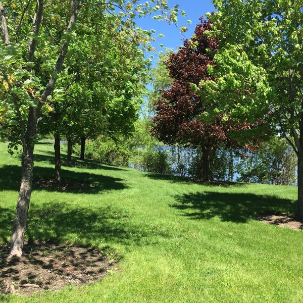 Big Bear Lake 4 tips from 194 visitors