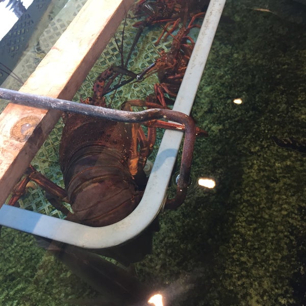 大漁丸 Japanese Restaurant