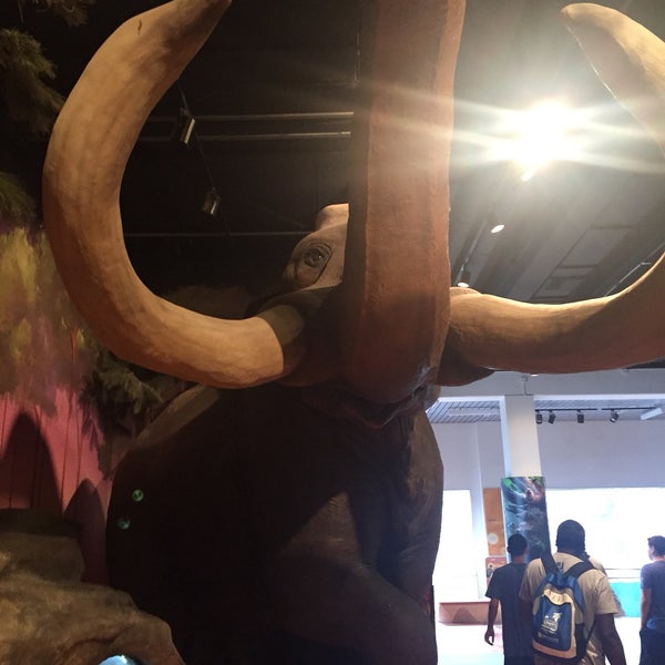 Photo taken at Museum of Discovery and Science by Carly R. on 7/28/2017