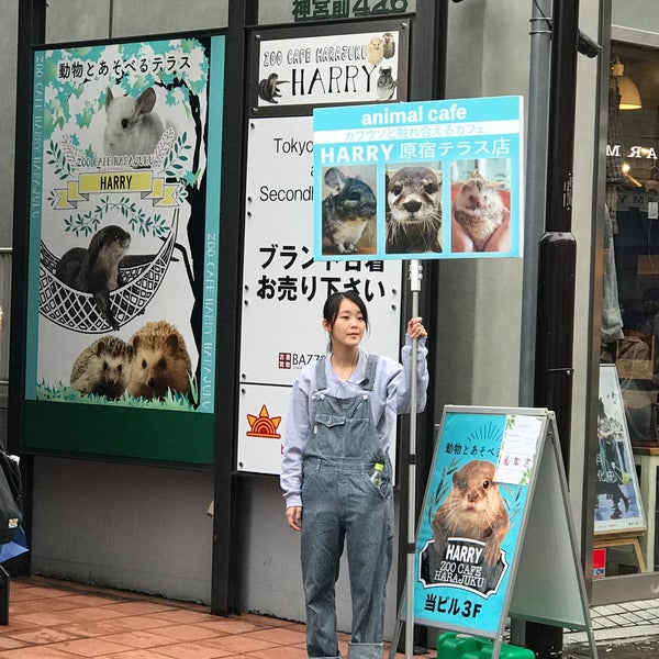 Photos At Harry Harajuku Terrace Pet Cafe In Shibuya