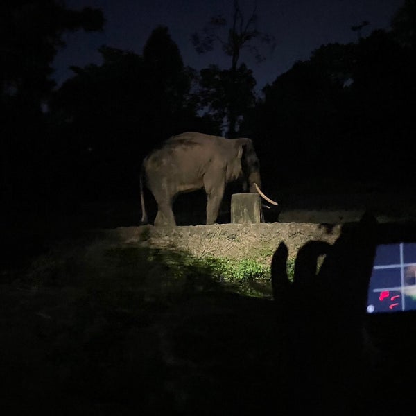 Снимок сделан в Night Safari пользователем Aika T. 5/2/2023
