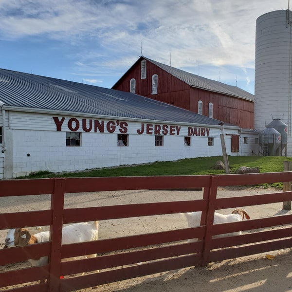 Foto tirada no(a) Young&#39;s Jersey Dairy por Heather S. em 4/21/2019