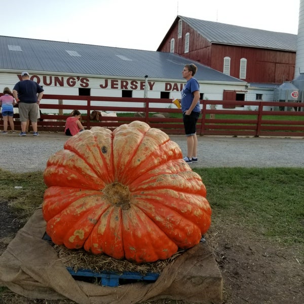 Photo taken at Young&#39;s Jersey Dairy by Heather S. on 10/14/2017