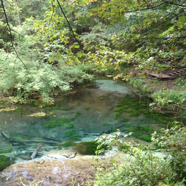 Зелёный ключ, spring, stream, Republic of Mari El, Volzhskiy rayon, Obshiyarskoy