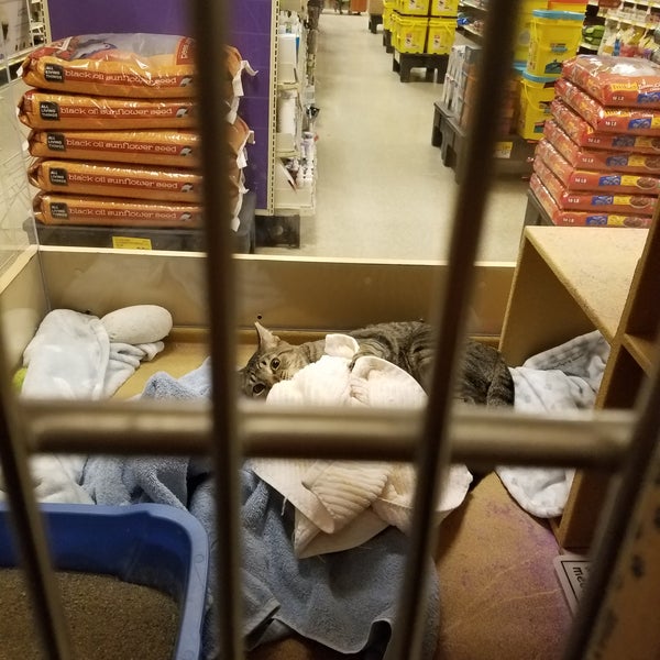 PetSmart Pet Supplies Store in Newark