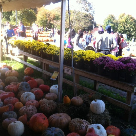 Photo taken at Bishop&#39;s Orchards Farm Market &amp; Winery by Tom P. on 10/20/2012