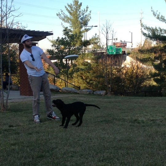 Photos at PetSafe Downtown Dog Park Dog Runs in Knoxville