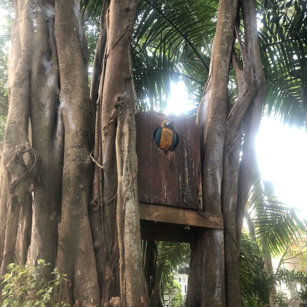There are so many beautiful birds, kittens, deer, and sloths here. Such a serene experience. Private cabanas on the beach are a must!