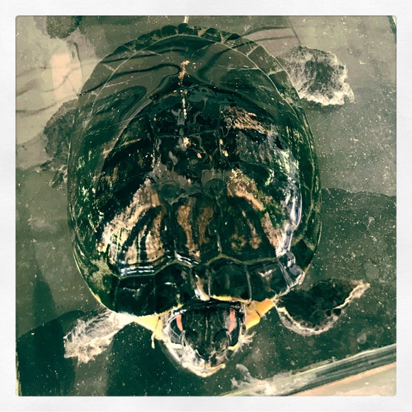 Baie Du Tombeau Neighborhood