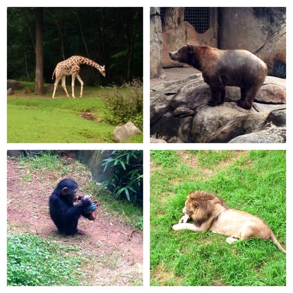 NC Zoo: Africa - 4401 Zoo Pkwy