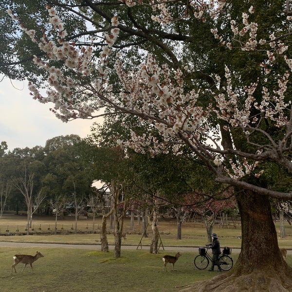 Photos At 片岡梅林 1 Tip