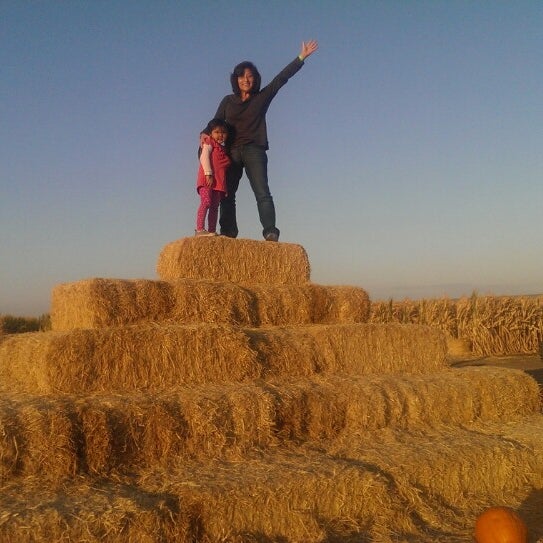 Foto diambil di Fantozzi Farms Corn Maze and Pumpkin Patch oleh Diana L. pada 10/30/2013