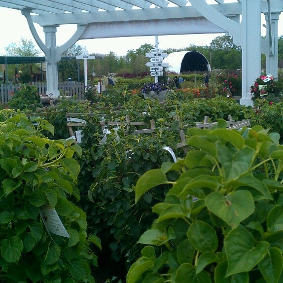 lurvey garden center & landscape supply photos