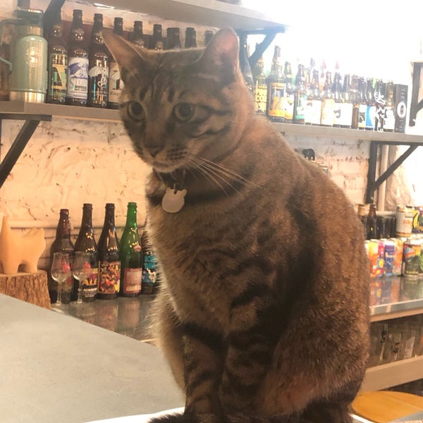 5/5/2019 tarihinde 番茄 小.ziyaretçi tarafından BeerCat'de çekilen fotoğraf