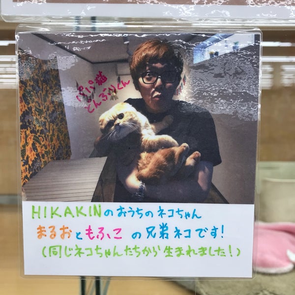 Photos At コメリパワー帯広南 清流東2丁目12 Photos At コメリパワー帯広南 清流東2丁目12