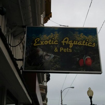 exotic aquatics and pets