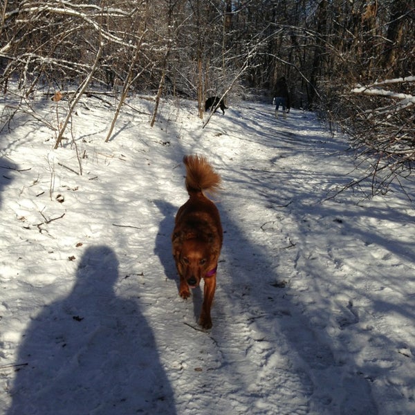 Photos at Wauwatosa Dog Park Dog Run in Wauwatosa