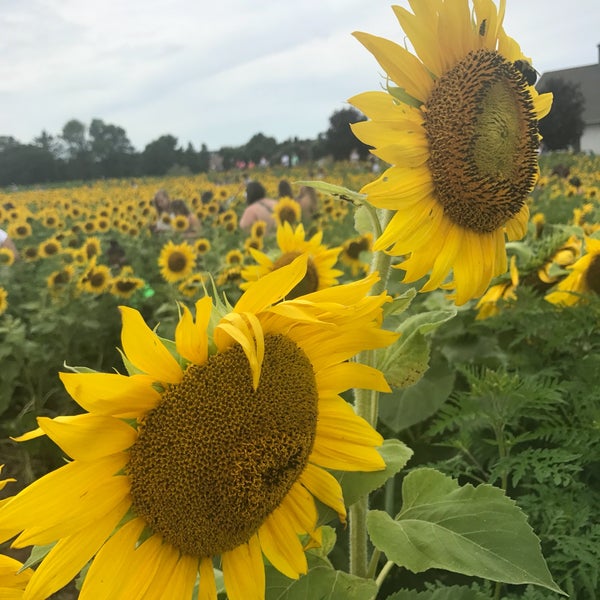 Elverson, PA Elverson, PA