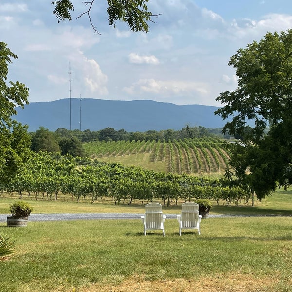 Shenandoah Vineyards Vineyard in Edinburg