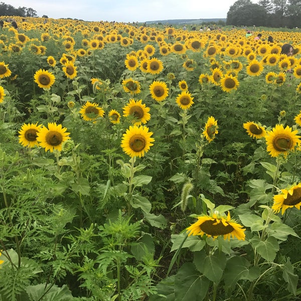 Elverson, PA Elverson, PA