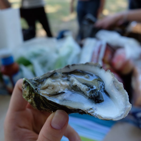 Photo taken at Tomales Bay Oyster Company by 詩璇 鄭. on 7/1/2018
