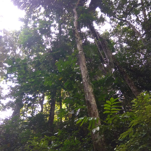 Photos At Taman Nasional Bogani Nani Wartabone Gorontalo