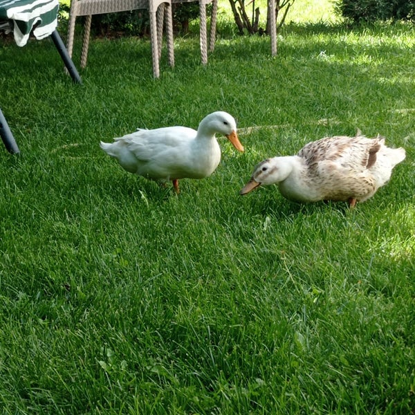 Das Foto wurde bei Park Afyon von Yasin am 9/17/2023 aufgenommen