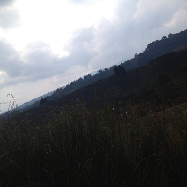 San Francisco de San Isidro de Grecia Neighborhood