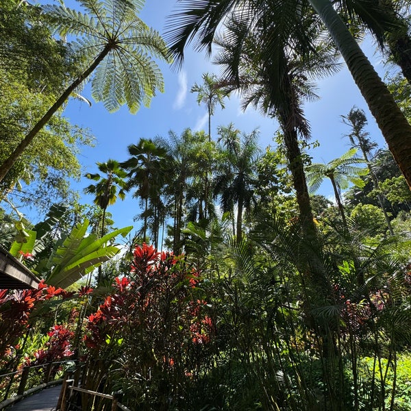 2/28/2024 tarihinde Stacy K.ziyaretçi tarafından Hawaii Tropical Botanical Garden'de çekilen fotoğraf