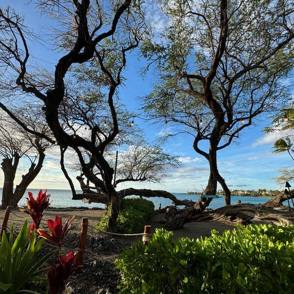 Photo taken at Lava Lava Beach Club by Stacy K. on 3/1/2024